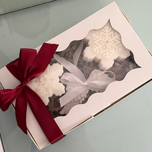 Caixa Presente Flocos Asas