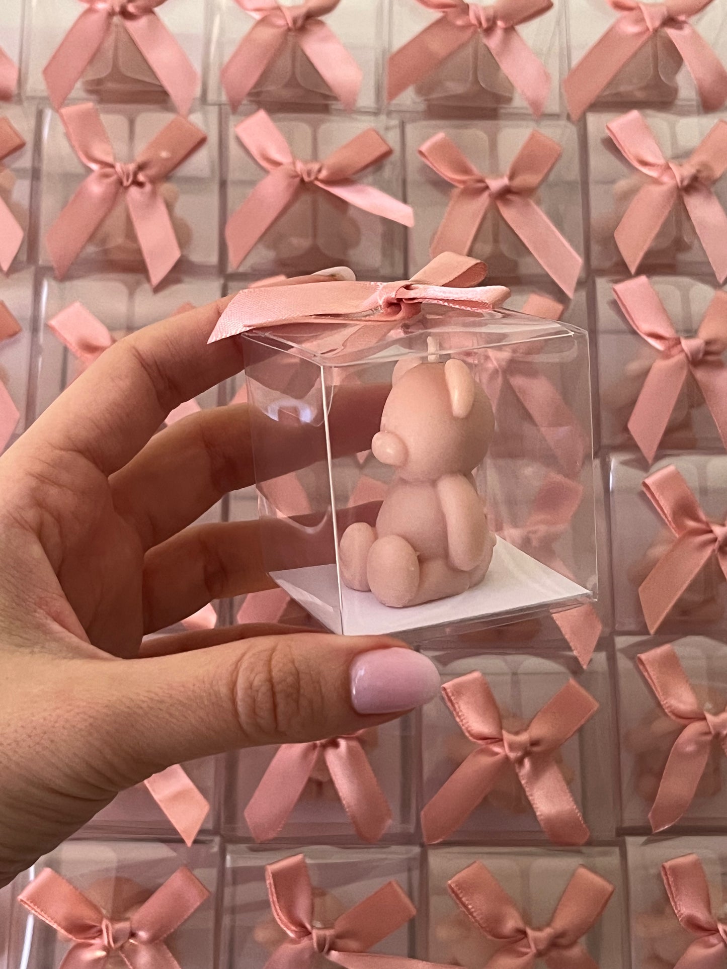 Teddy bear in acetate box
