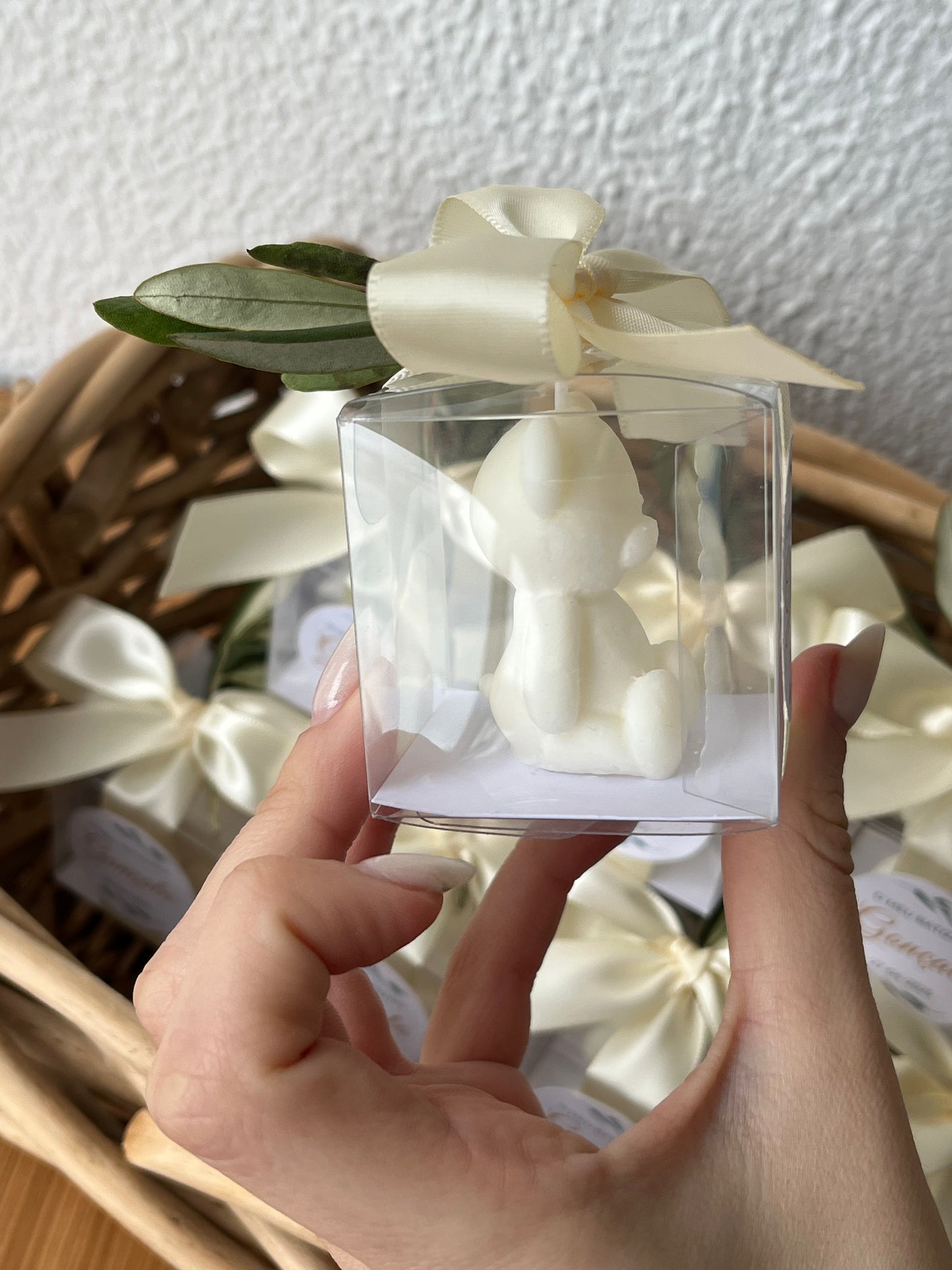 Teddy bear in acetate box