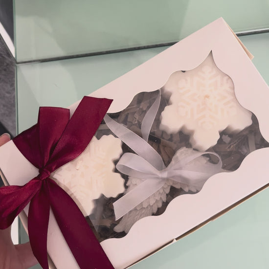 Caixa Presente Flocos Asas